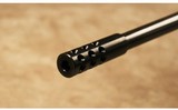 CZ~550 American~22-250 Remington - 8 of 10