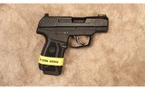 Ruger~Max-9~9 MM - 1 of 2