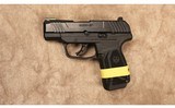 Ruger~Max-9~9 MM - 2 of 2