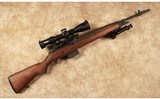 Springfield~M1A~.308 Winchester - 1 of 10