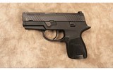 Sig Sauer~P320SC~9 MM - 2 of 2
