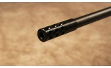 Sauer~101~.22-250 - 8 of 10