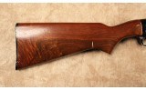 Remington~572~.22 Long Rifle - 2 of 10