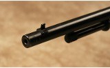 Remington~572~.22 Long Rifle - 8 of 10