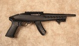 Ruger~22 Charger~.22LR