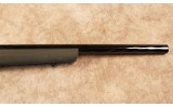 Ruger~10/22 Hammer Forged~.22 Long Rifle - 4 of 10