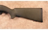 Ruger~10/22 Hammer Forged~.22 Long Rifle - 5 of 10