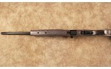 Savage~A17TT~17 HMR - 10 of 10