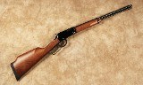 Henry~H001V~.17 HMR