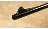 Remington~700~.243 Winchester - 8 of 10