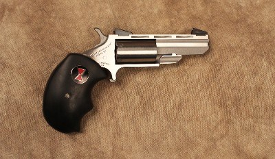 North American Arms~BW~.22 Magnum