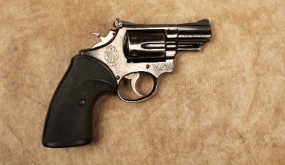 Smith & Wesson~19-3~.357 Magnum