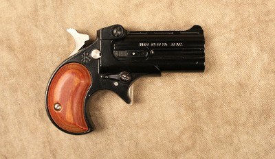 Davis~DM22~.22 Magnum