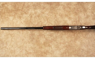 Browning~B425~12 Gauge - Image 10 of 10
