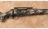 Springfield~2020 Boundary~.300 PRC - 3 of 10