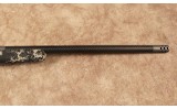 Springfield~2020 Boundary~.300 PRC - 4 of 10