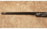 Springfield~2020 Boundary~.300 PRC - 7 of 10