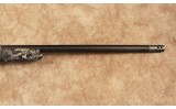 Springfield~2020 Boundary~.300 PRC - 4 of 10