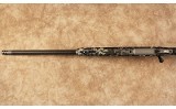 Springfield~2020 Boundary~.300 PRC - 10 of 10
