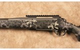 Springfield~2020 Boundary~.300 PRC - 6 of 10