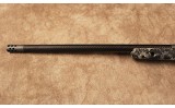 Springfield~2020 Boundary~.300 PRC - 7 of 10