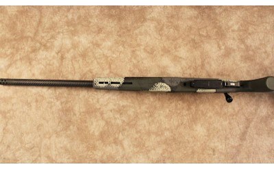 Springfield~2020 Evergreen~.300 Win Mag - Image 10 of 10