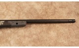 Springfield~2020 Ridgeline~.300 Win Mag - 4 of 10