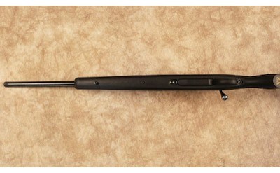 Tikka~T3 Lite~.308 Winchester - Image 10 of 10