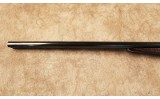 AYA~#4~12 Gauge - 7 of 10