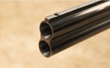 Bettinsoli~Boxlock~12 Gauge - 8 of 10