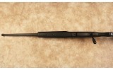 Savage~10~.22-250 Remington - 10 of 10