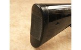 Charter Arms~AR7 Explorer~.22 Long Rifle - 4 of 4