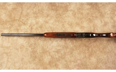 Charly Daly~Field~12 Gauge - Image 10 of 10