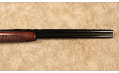 CZ~Teal~12 Gauge - Image 4 of 10