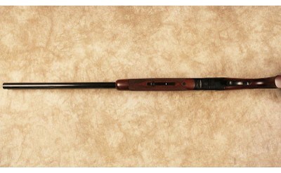 CZ~Teal~12 Gauge - Image 10 of 10