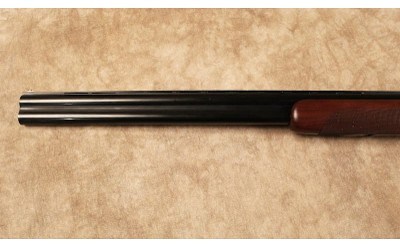 CZ~Teal~12 Gauge - Image 7 of 10
