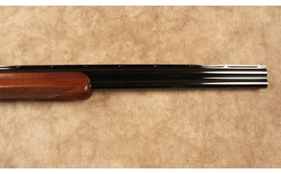 B. C. Miroku~None~12 Gauge - Image 4 of 10