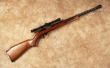 Marlin Glenfield~Model 60~.22 Long Rifle - 1 of 10