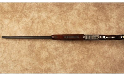 Nikko~Shadow~12 Gauge - Image 10 of 10