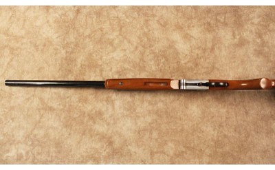 BSA~None~12 Gauge - Image 10 of 10