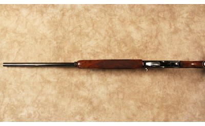 Shadow~None~12 Gauge - Image 10 of 10