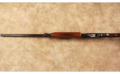 Marlin~120 Magnum~12 Gauge - Image 10 of 10