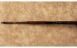 Henry~H001~.22 S, L, LR - Image 10 of 10