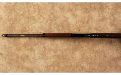 Henry~H001~.22 S, L, LR - Image 10 of 10