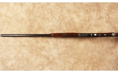 AYA~Cosmos~12 Gauge - Image 10 of 10