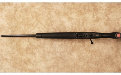 Ruger~American Rimfire~.22 Long Rifle - Image 10 of 10