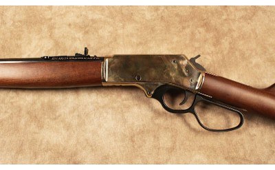 Henry~H010B~.45-70 Gov't - Image 6 of 10