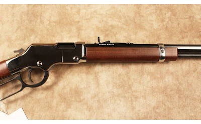 Henry~H004S~.22 S, L, LR - Image 3 of 10