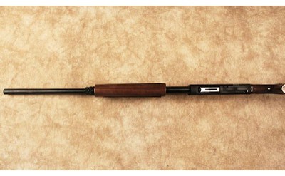 Tristar~Cobra lll~20 Gauge - Image 10 of 10