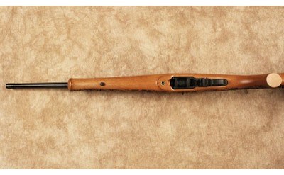 Ruger~10/22~.22 LR - Image 10 of 10